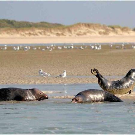 Escapade Berckoise, Berck Plage Экстерьер фото