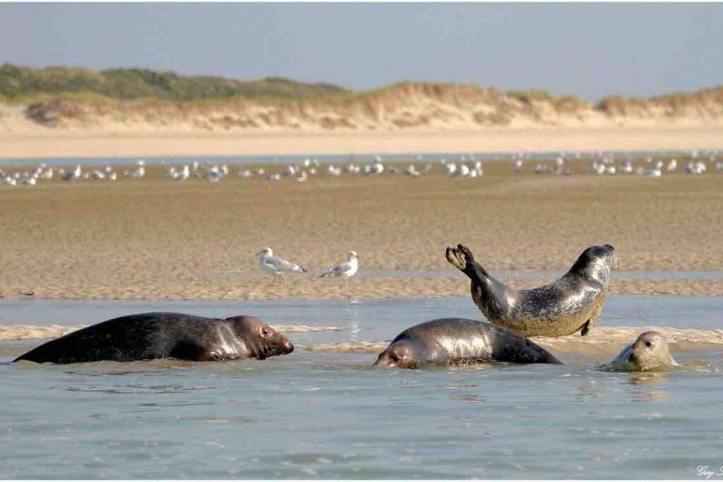 Escapade Berckoise, Berck Plage Экстерьер фото