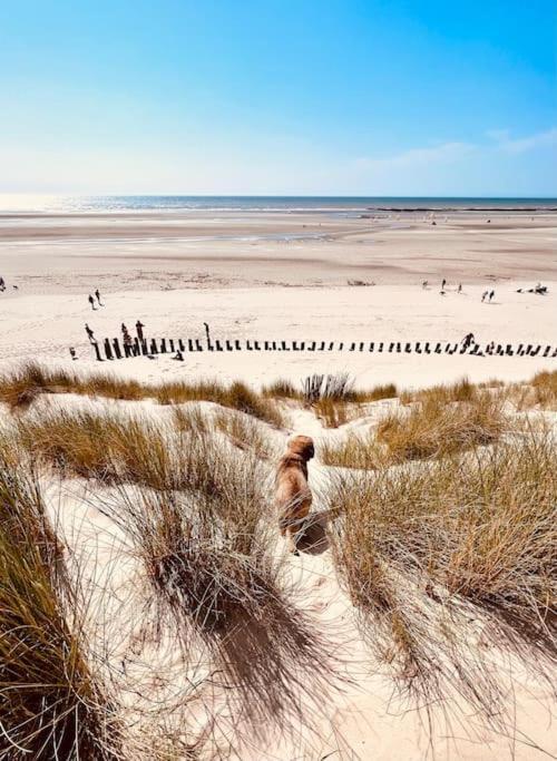 Escapade Berckoise, Berck Plage Экстерьер фото